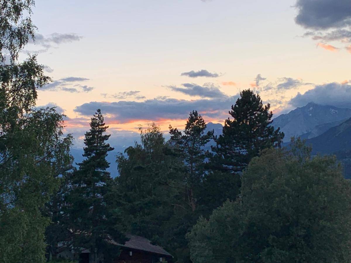 Appartamento La Jacinthe De Crans Esterno foto