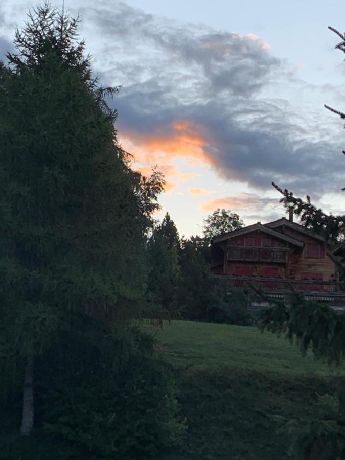 Appartamento La Jacinthe De Crans Esterno foto